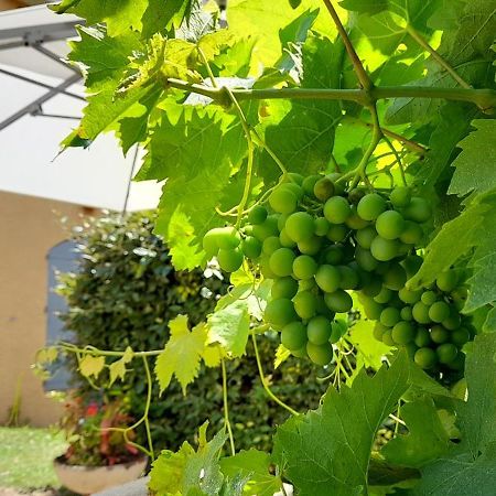 Hotel Des Vignes Julienas Екстер'єр фото