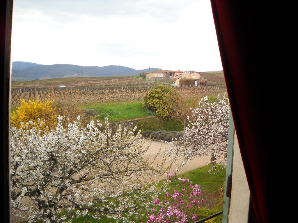 Hotel Des Vignes Julienas Екстер'єр фото